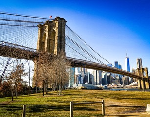 brooklyn bridge in new york city