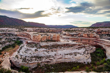 Obraz premium The color contrast of the rock strata and the dark green trees add drama to this beautiful canyon that holds the Kachina Bridge in Natural Bridges National Monument, Utah