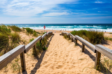 Fototapeta premium View of the Monte Clerigo beach on the western coastline of Portugal, Algarve. Stairs to beach Praia Monte Clerigo near Aljezur, Costa Vicentina, Portugal, Europe.