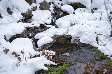 mountain stream in winter under the snow