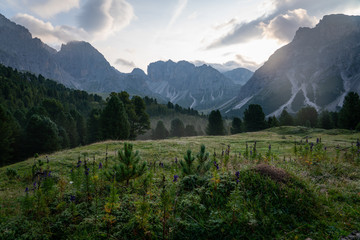 Hazy Meadow during Sunrise with Mountain Range in the Dolomites