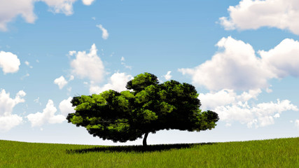 One Tree At Sky Background 3D Rendering
