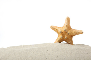 Fototapeta na wymiar sand, shells and starfish isolated on white. place for text, travel, sea.