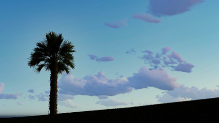 One Palm on Sky Background 3D Rendering