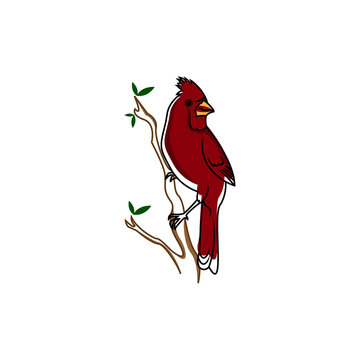 Cardinal bird logo. Isolated cardinal bird on white background