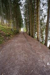 Fototapeta na wymiar Landschaft um den Titisee - Schwarzwald 