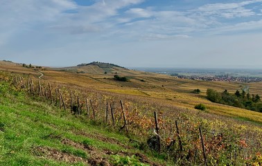 Colline et vignes