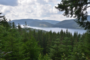 Titisee Menzenschwand Schwarzwald