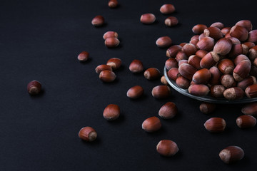 Hazelnut isolated on black background. Set or collection.
