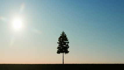 Fototapeta na wymiar Lonely tree landscape 3D Rendering
