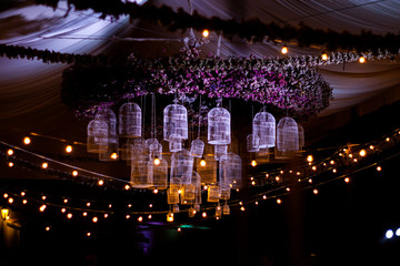 Wedding decoration with flowers, lights and cages