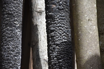 verbranntes Holz, Hochofen, Glockengießen