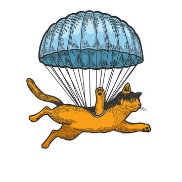 Cat animal flies with parachute as paratrooper sketch engraving vector illustration. T-shirt apparel print design. Scratch board style imitation. Black and white hand drawn image.