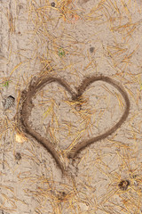 The heart symbol is painted on sandy soil next to pine needles.
