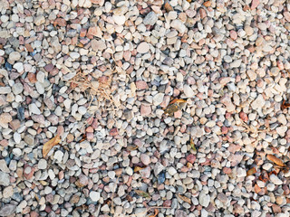 Pebbles closeup. High quality close up photo of various pebbles. On a sunny day. dry stone