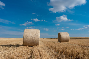 bales of hay