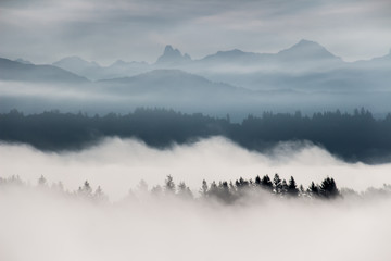 Foggy layered mountain landscape in Fort Langley, Fraser Valley, Lower Mainland, British Columbia,...