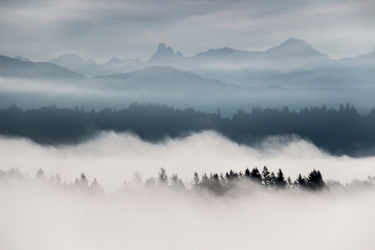 Foggy layered mountain landscape in Fort Langley, Fraser Valley, Lower Mainland, British Columbia, Canada © Tom