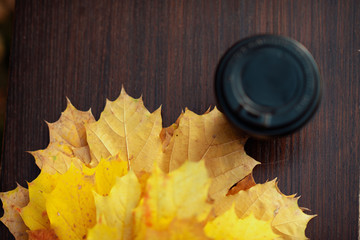 Closeup on yellow leaves and cup of coffee on bench