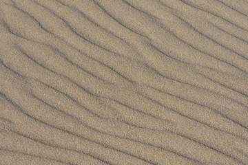 Fototapeta na wymiar Soft Flowing Beach Sand Ripples, Mossel Bay, South Africa
