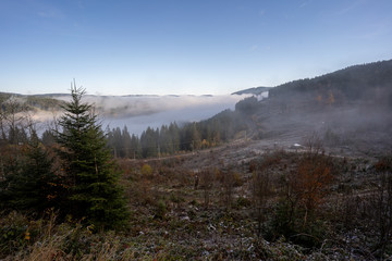 Landschaft um den Titisee - Schwarzwald 