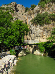 Fototapeta na wymiar Green landscape and the river at Olympos in Antalya, Turkey 