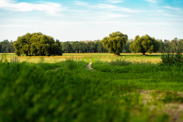 road in the countryside