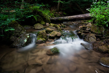 Serene Brook Flowing Through a Forest