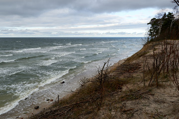 coast of the baltic sea