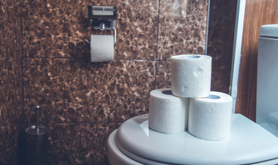 Toilet paper roll on closet seat cover