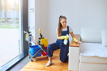 attractive long-haired woman successfuly do her work, cleaning service. With spray, rag for...