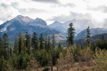 Poland Landscape November 2019