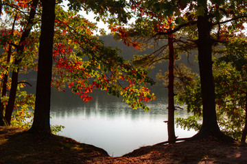 Lake Colorful Leaves