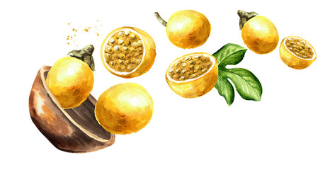 Bowl with fresh yellow Passion fruits, Watercolor hand drawn horizontal  illustration isolated on white background