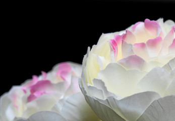 Artificial white and pink flowers