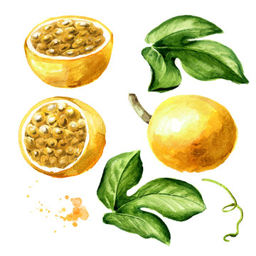 Passion fruit with leaves set. Watercolor hand drawn illustration  isolated on white background