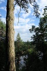 Fototapeta premium view of Verkiai