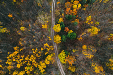 Aerial view of winding road through autumn colored forest.