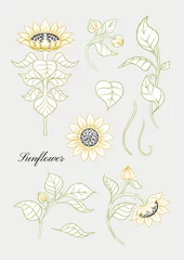 Gordijnen Sunflower. Set of elements for design Colored vector illustration. Outline hand drawing in art nouveau style, vintage, old, retro style.. © Elen  Lane