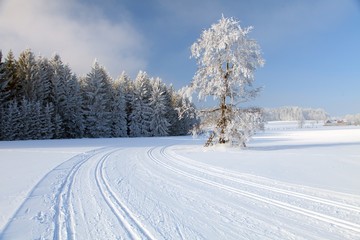 cross country skiing way