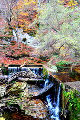 Autumn landscape in the area of the Bigar waterfall. in Banat, Transylvania, Romania