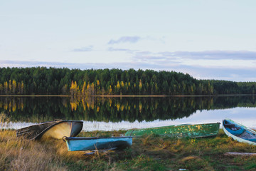 forest and the lake