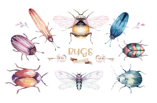 Set of watercolor bright beetles, bugs fly and bees. Isolated colorful cartoon buttle and bug. Insect set decoration