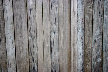 Fototapeta premium Old wooden boards with peeling paint. Old background. Textured planks of oak and pine. Bright colours. Natural aging of the material.
