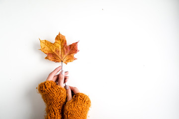 Maple leaf keeped in hand in a glove. Yellow autumnal concept, copy space