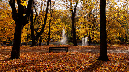 Park Planty w Białymstoku , Polska złota jesień, Podlasie, Polska © podlaski49