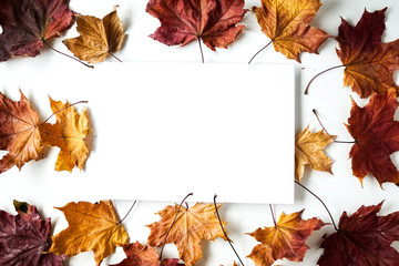 Naklejka na ściany i meble Autumnal leaves frame with copy space