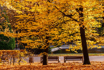 Park Planty w Białymstoku , Polska złota jesień, Podlasie, Polska © podlaski49
