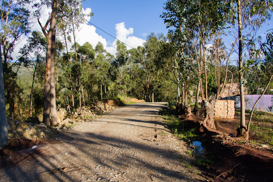 Camino rural