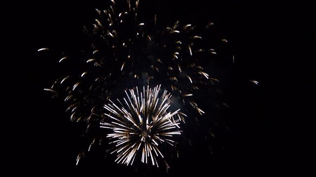 beautiful willow fireworks explode with delicate golden trails hanging in night sky slow motion